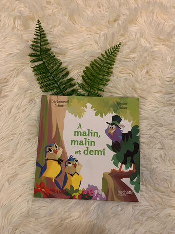 Livre mc do À malin, malin et demi