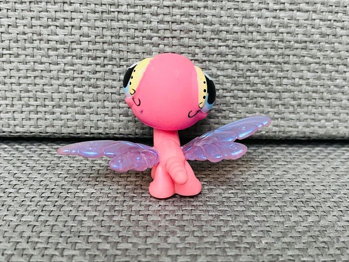 Petshop Libellule - 2€ l’unité - photo numéro 4