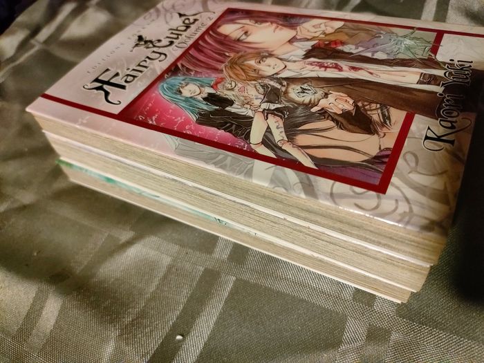 Lot Manga Fairy cube tome 1/2/3 - photo numéro 2