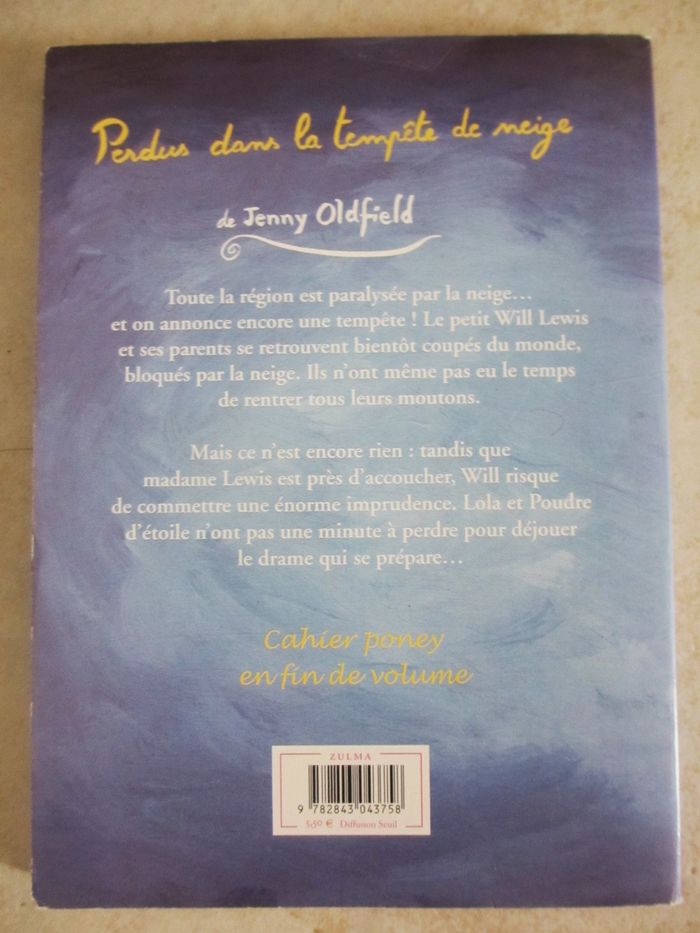 Roman enfant Mon Poney Magique – Tome 4 Perdus dans la tempête - photo numéro 2