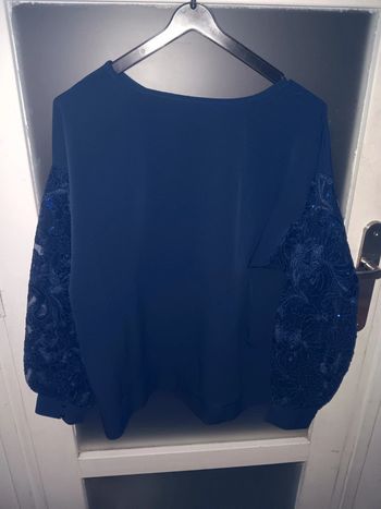 Pull bleu manches longues brodées et pailletées taille 40/42