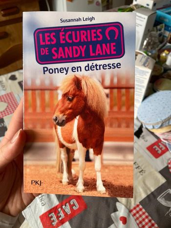 Livre les écuries de Sandy Lane poney en détresse