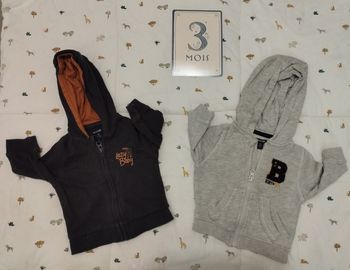 2 vestes à capuche 