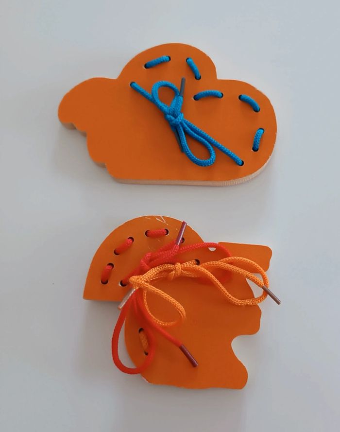 Écureuil d apprentissage lacets - photo numéro 2