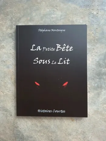 Livre de Stéphane Montaigne- La petite bête sous le lit