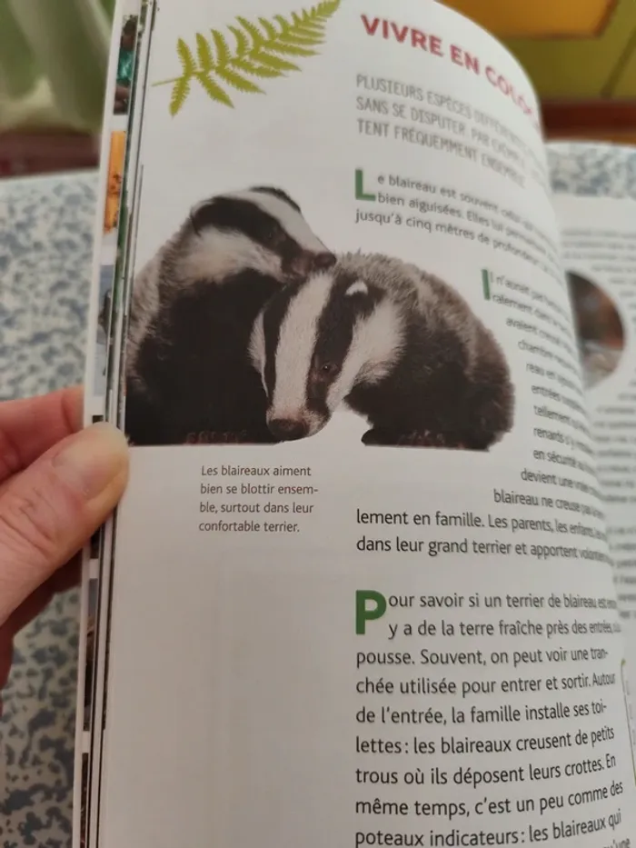 Écoute les animaux parler, à la découverte des habitants des bois et des prés - photo numéro 5