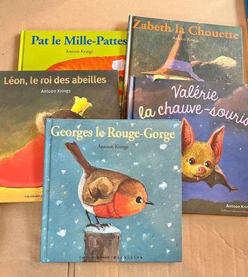 Ensemble livres antoon krings