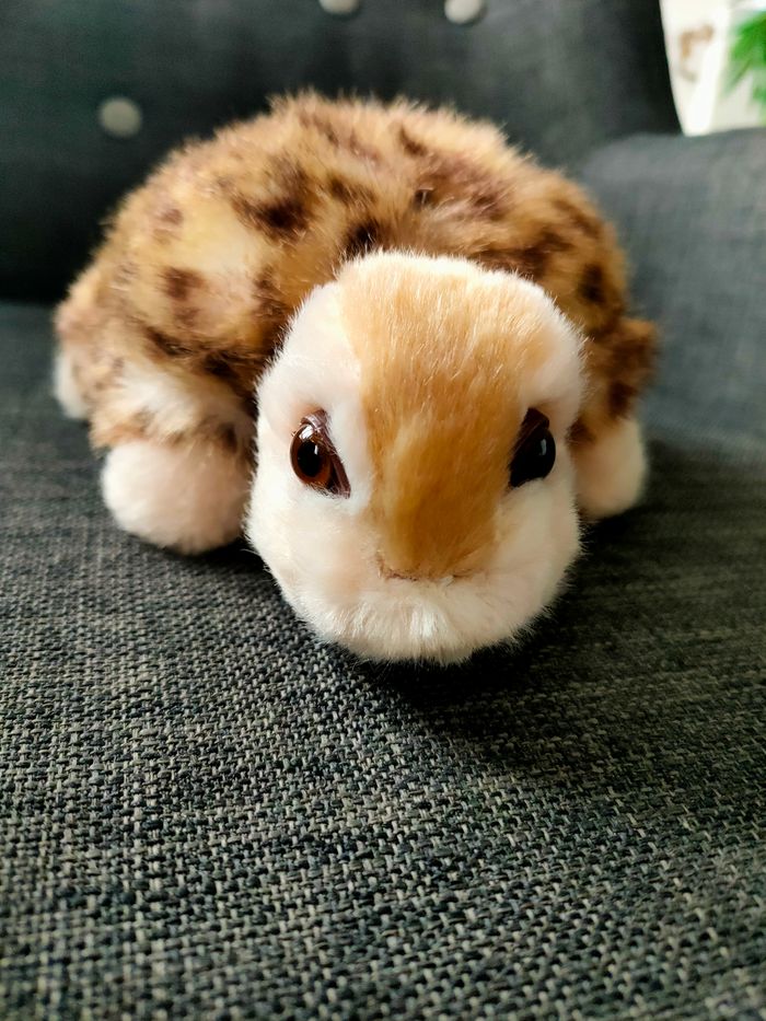 Peluche tortue - photo numéro 3