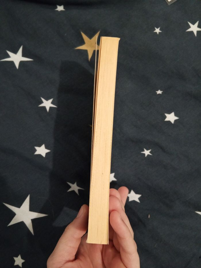 Livre (89) 📚 La délicatesse - photo numéro 4