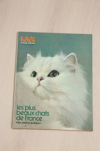 les plus beaux chats de France