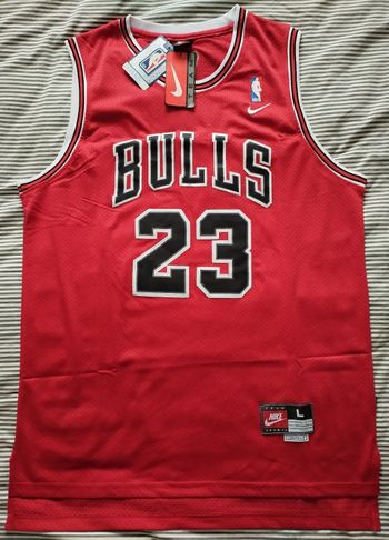 Maillot NBA Nike adulte neuf de Michael Jordan des Bulls de Chicago (taille L), avec étiquette.