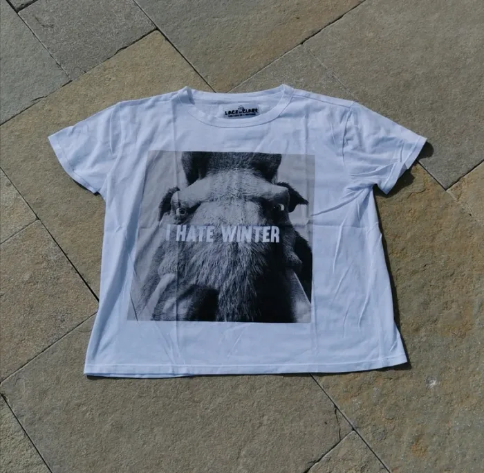 Tee-shirt l'âge de glace undiz taille S