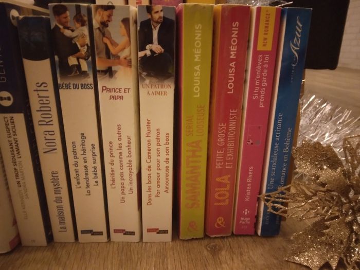 Calendrier de l'avent livresque (24 livres) - photo numéro 5