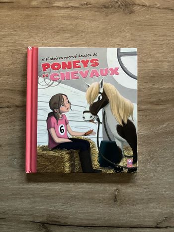 Livres enfants poney et chevaux