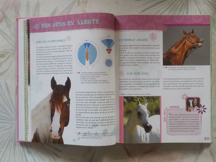 Au galop ! avec Sophie Thalmann Tout savoir sur le cheval - photo numéro 8