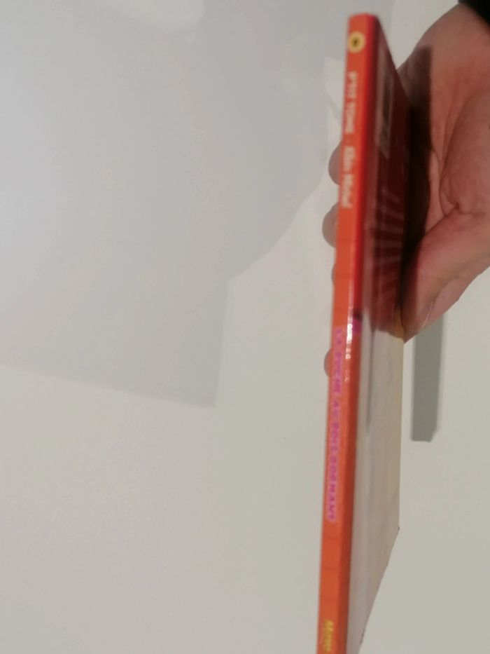 Livre Maya l abeille la ruche au bois dormant 🐝 - photo numéro 3