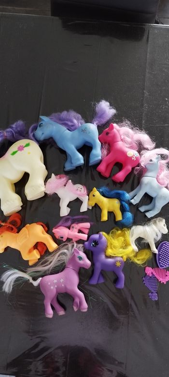Lot petit poney