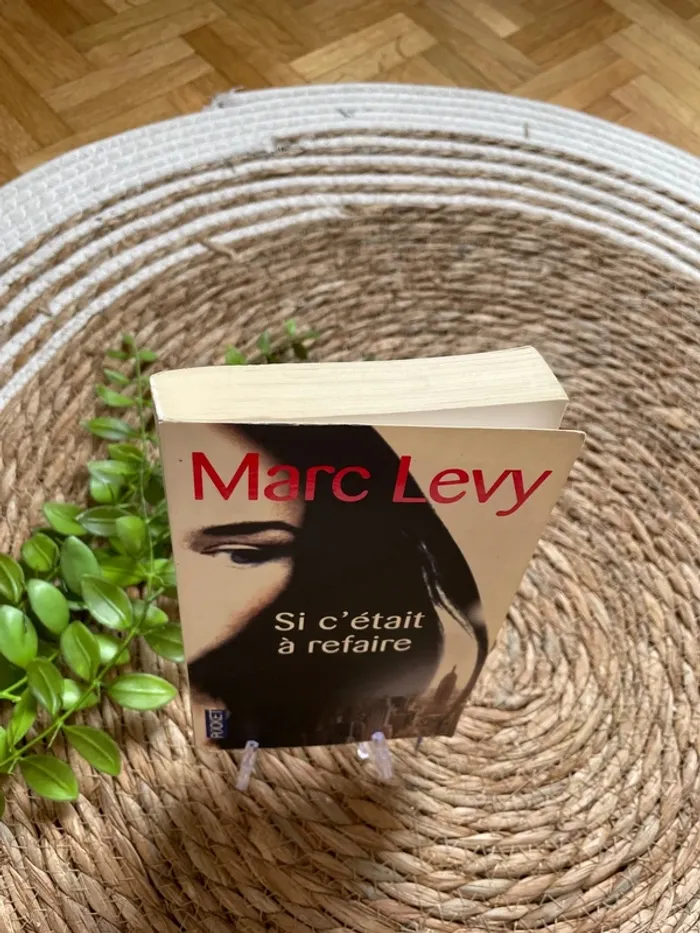 Livre - si c’était à refaire - photo numéro 2