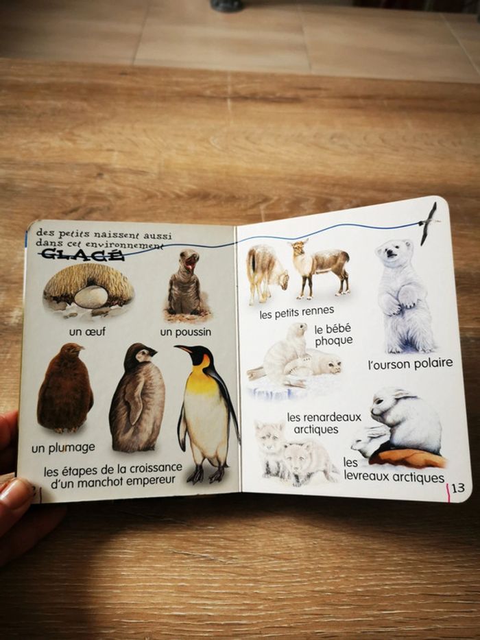 Livre j'aime les animaux - photo numéro 5