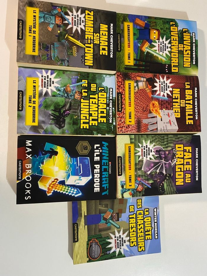 Lot 7livres Minecraft