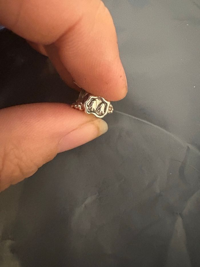 Charm pandora - photo numéro 3