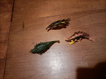 Dinosaures et autres figurines