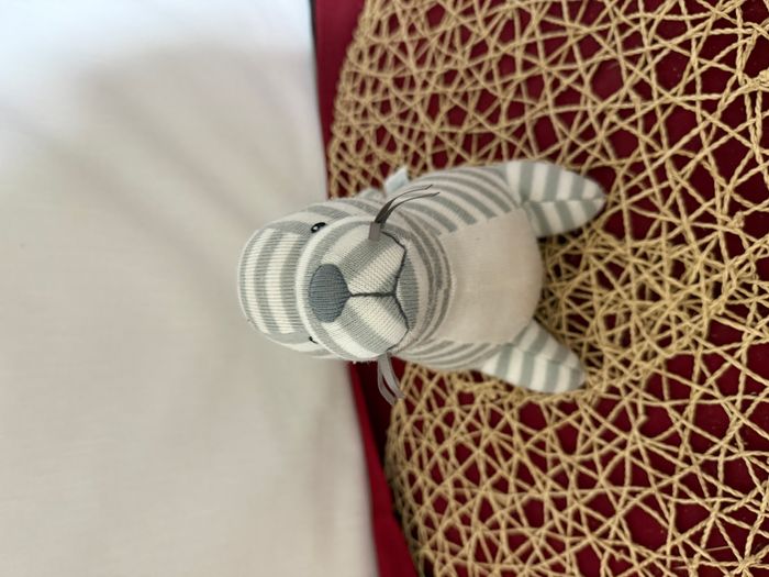 doudou phoque , otarie - photo numéro 5