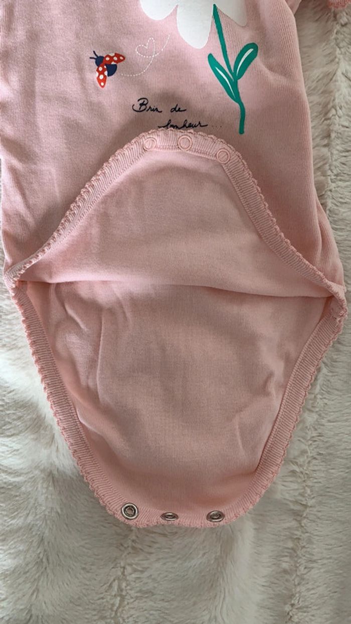 2 bodies - photo numéro 4