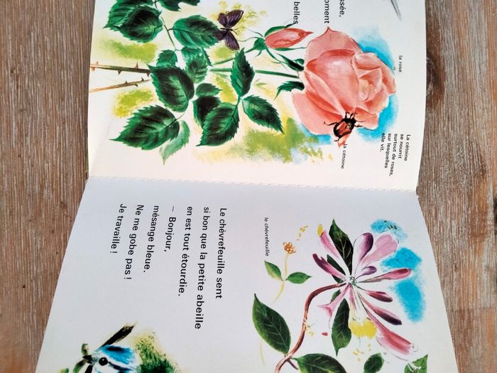 La petite abeille découvre les fleurs - photo numéro 3