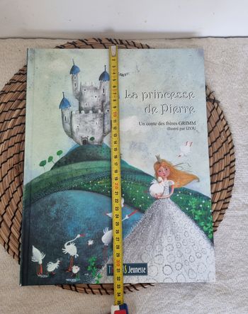 Grand livre la princesse de pierre