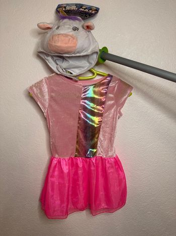Déguisement licorne