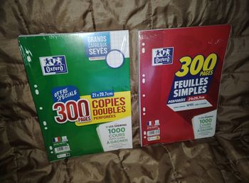 Lot feuilles oxford 300 feuilles simples+ 300 copies doubles