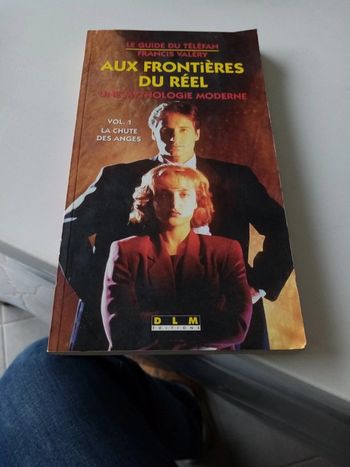 Aux frontières du réel une mythologie moderne