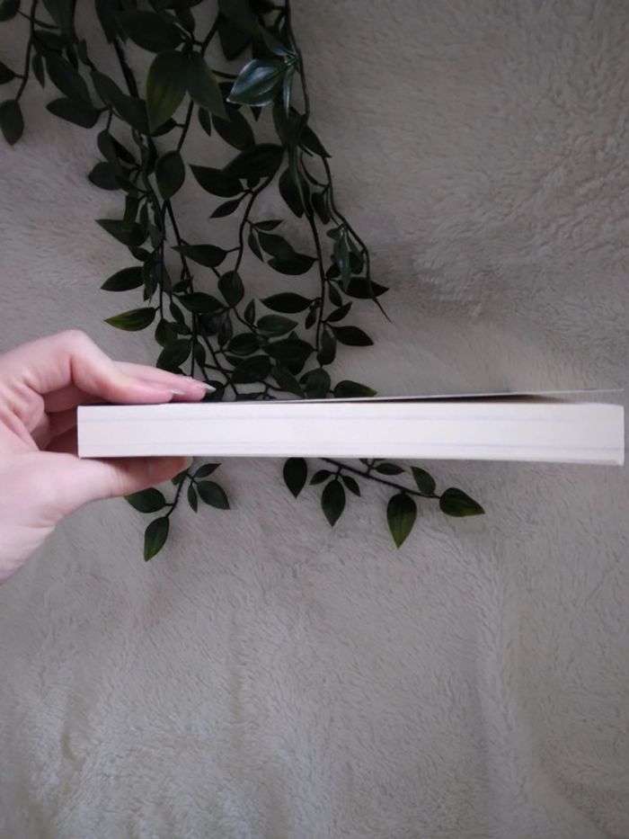 🍁A 3.5€ uniquement ce week-end 🍁 🌿Livre Ôwen et les sept cauchemars neuf🌿 - photo numéro 3