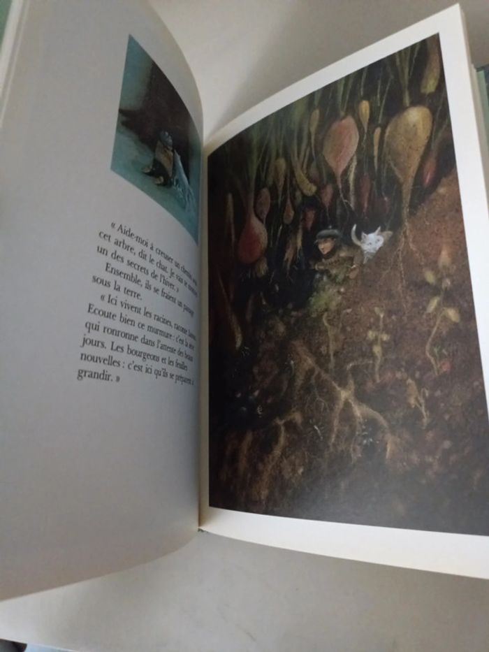 Livre enfant les secrets de l'hiver Évelyne hasler et Michèle lemieux - photo numéro 6