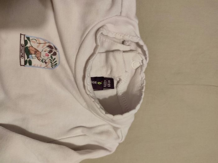 Bodie sergent major - photo numéro 2