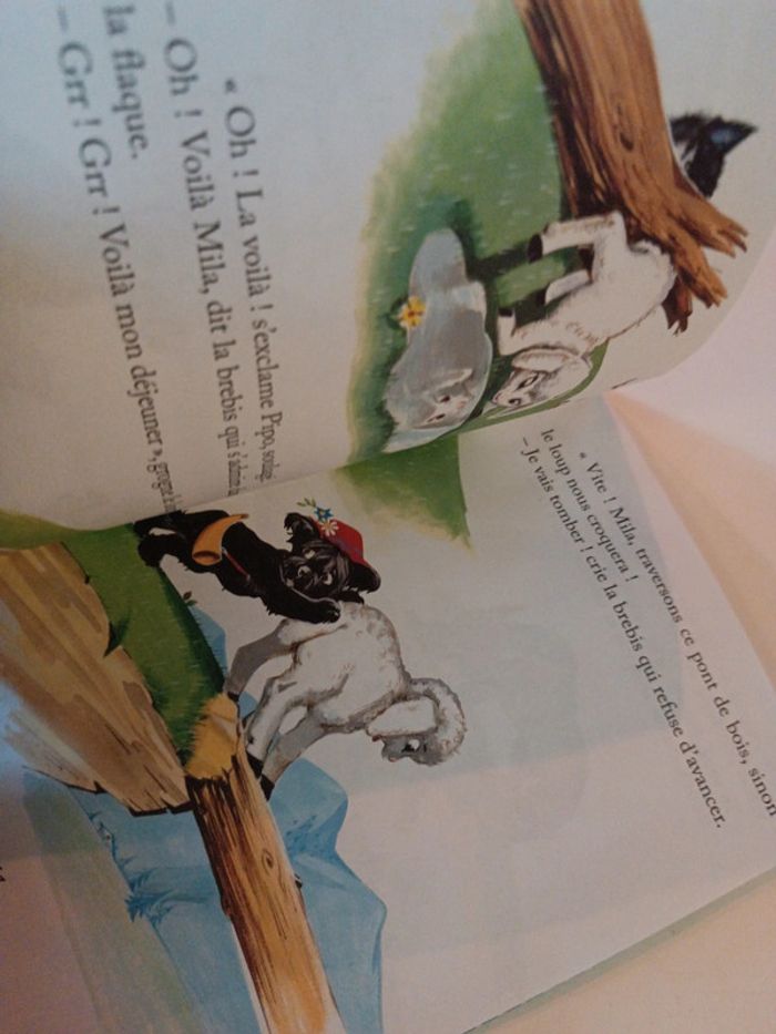 Livre d'argent Book histoire mouton brebis pipo chien dog berger deux coqs hachette pierre probst - photo numéro 9