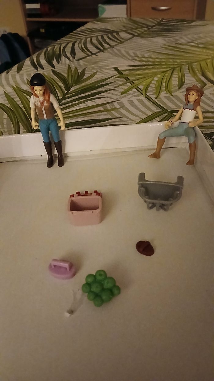 Ensemble schleich - photo numéro 2