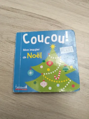 Livre enfant noel