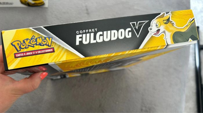 Pokémon coffret Fulgudog - photo numéro 2