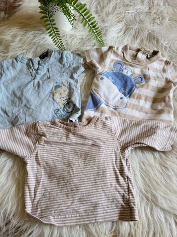 Lot de 3 tee-shirt