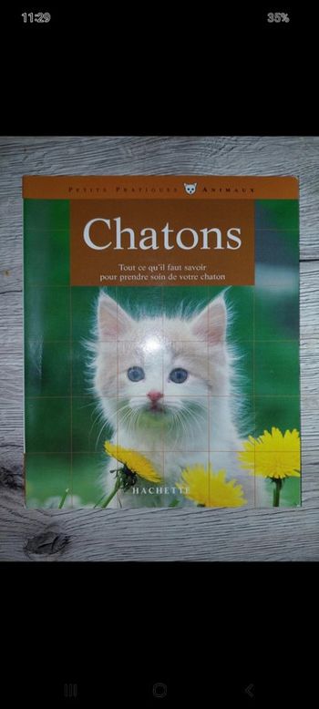 Livre les chatons