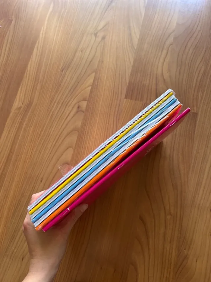 Lot de cahier neuf - photo numéro 2
