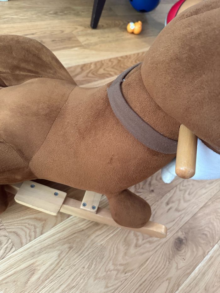 Chien a bascule oxybul - photo numéro 4