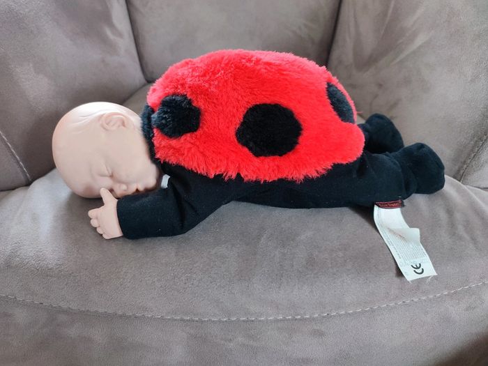 Bébé coccinelle Anne Geddes