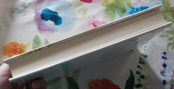 Angélique et la Démone 2e partie de Anne et Serge Golon Ed. France Loisirs - photo numéro 5