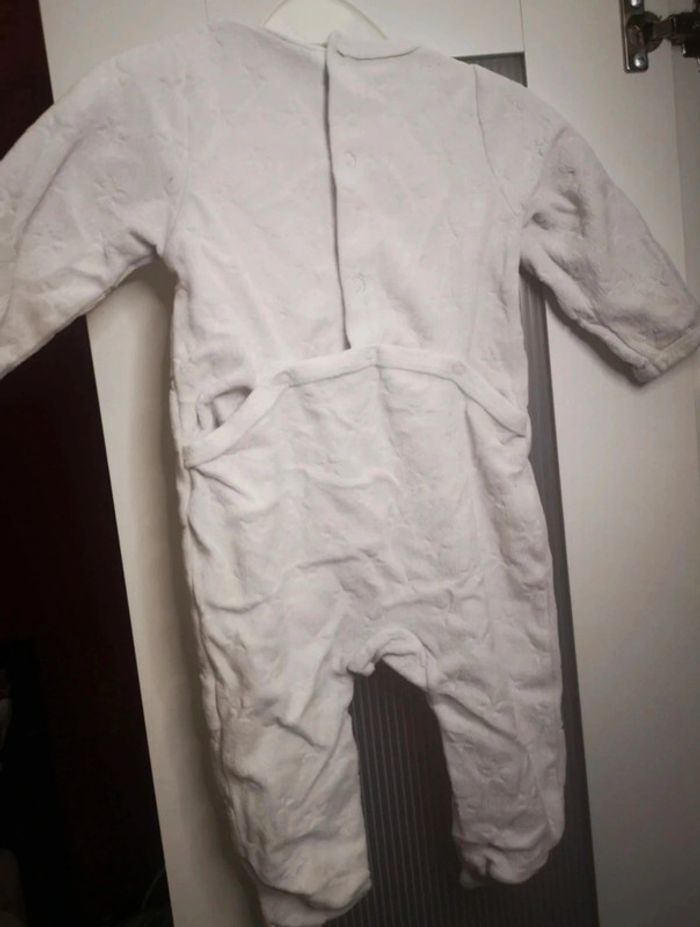 Grenouillère - photo numéro 4