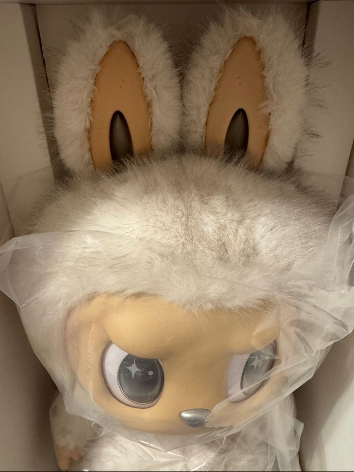 zimomo - photo numéro 5