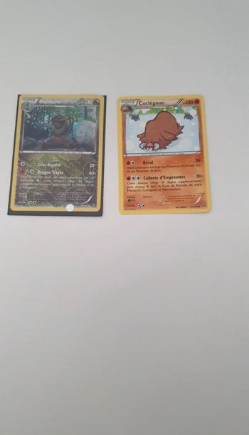2 cartes Pokémon