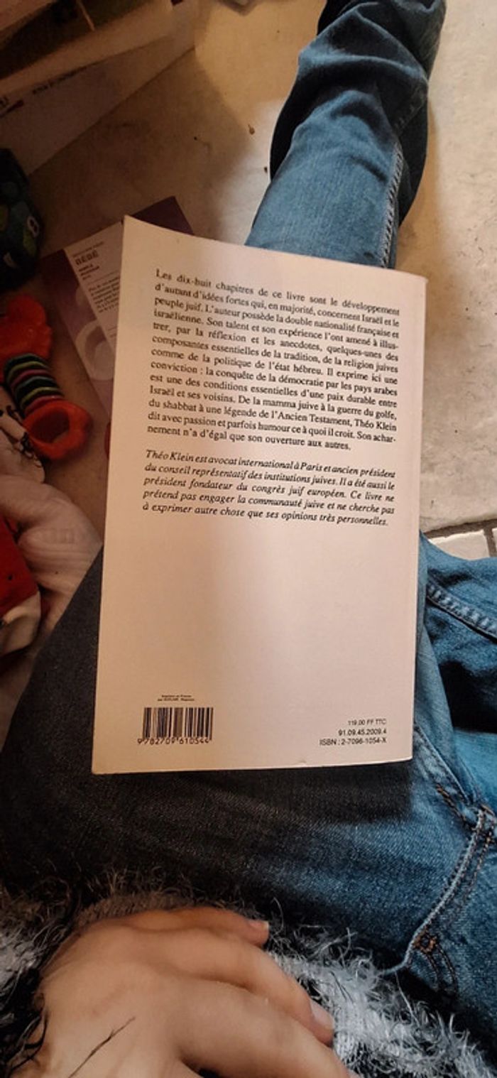 Israël au quatre vent du ciel livre - photo numéro 3